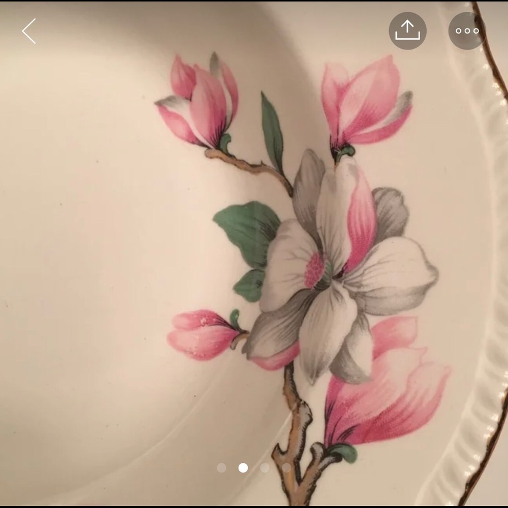 HP Vintage beautiful Homer Laughlin. Golden rims. - Picture 3 of 4